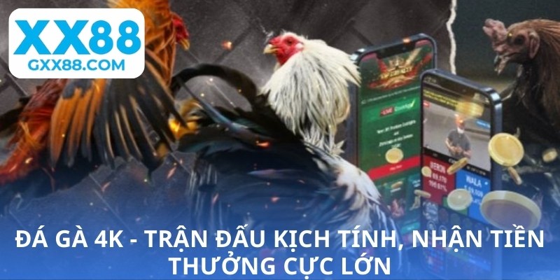 Đá gà 4K - Trận đấu kịch tính, nhận tiền thưởng cực lớn