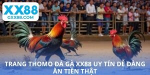 Trang Thomo đá gà XX88 uy tín dễ dàng ăn tiền thật