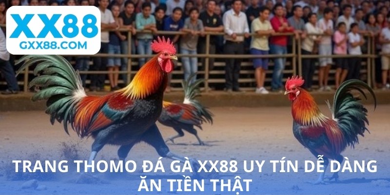 Trang Thomo đá gà XX88 uy tín dễ dàng ăn tiền thật