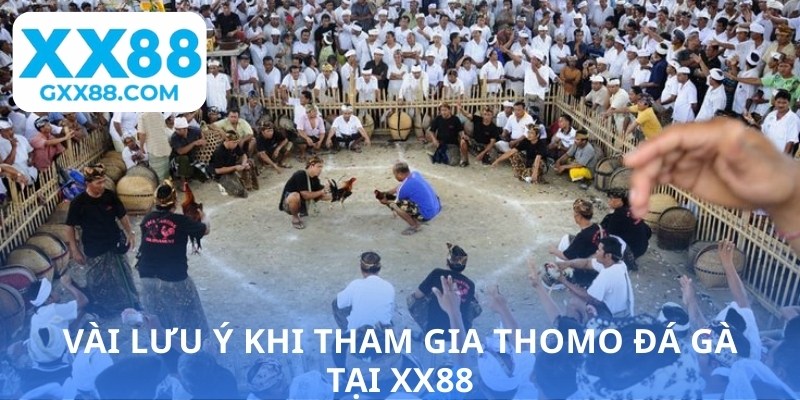 Vài lưu ý khi tham gia Thomo đá gà tại XX88